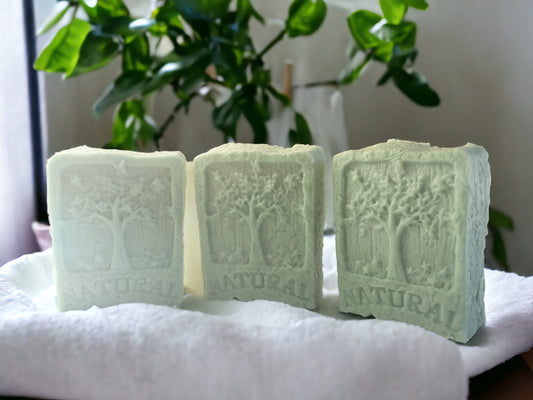 Green Your Routine: How Shampoo Bars Are A Sustainable Alternative To Traditional Shampoo