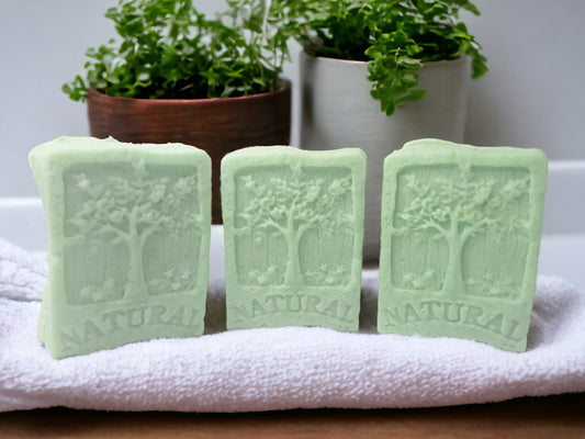 Frosted Timber Shampoo Bar