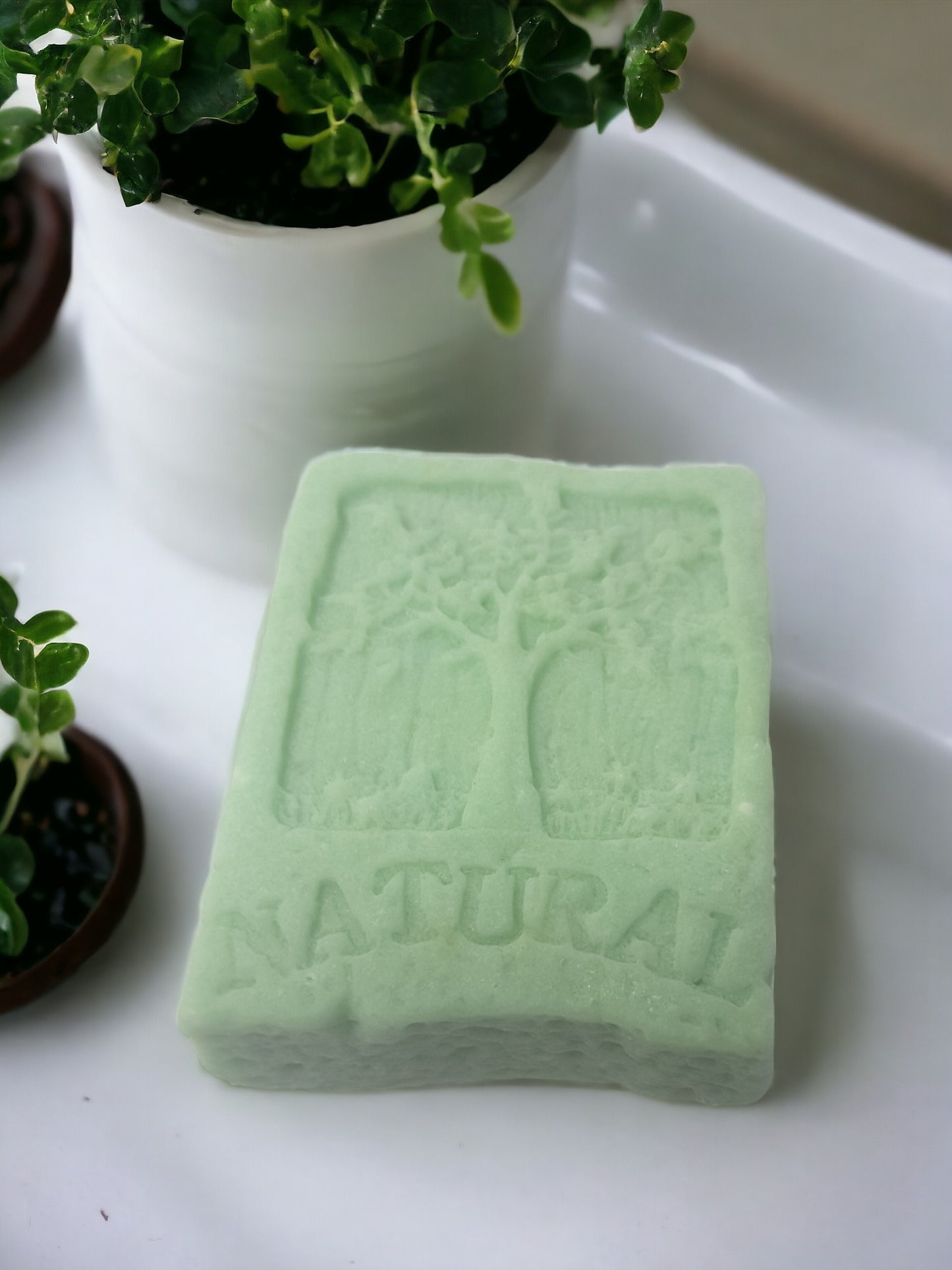 Frosted Timber Shampoo Bar