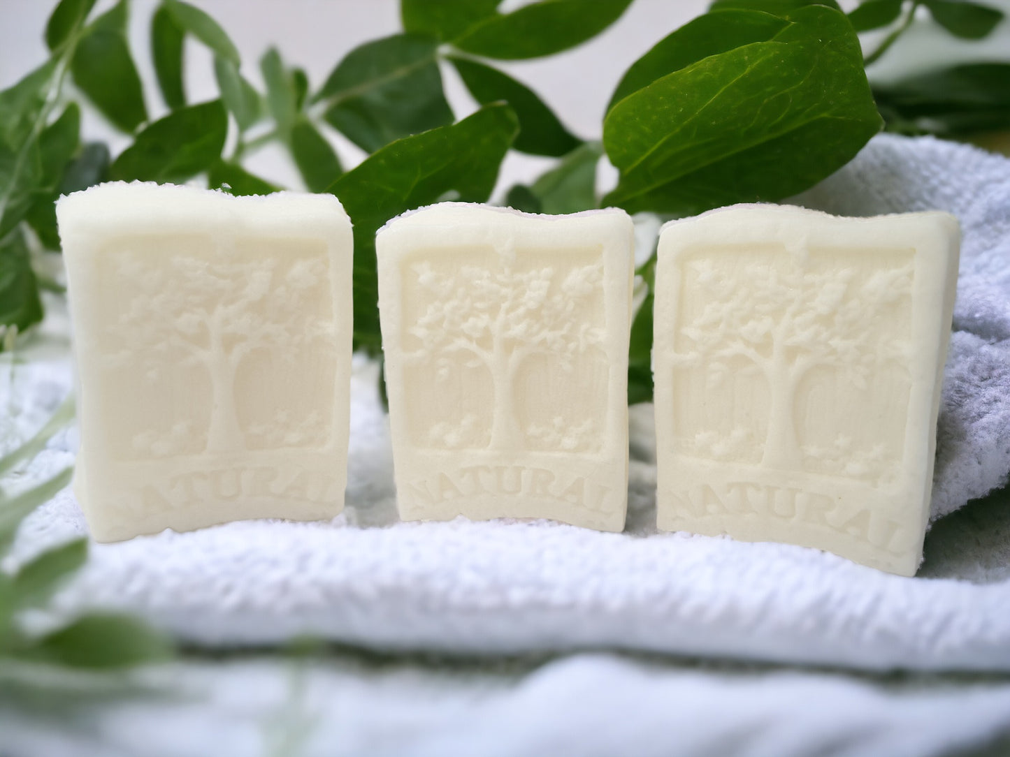 rice protein shampoo bars