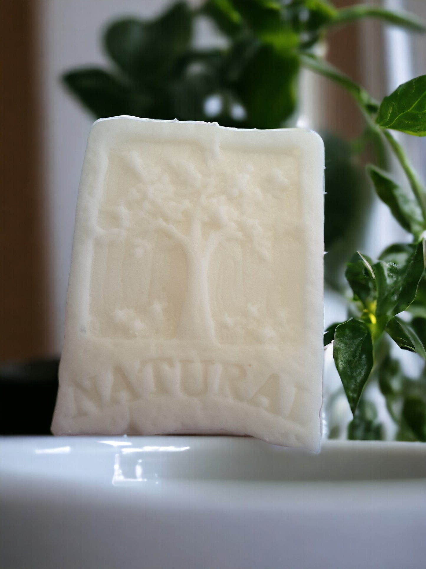 rice protein shampoo bars