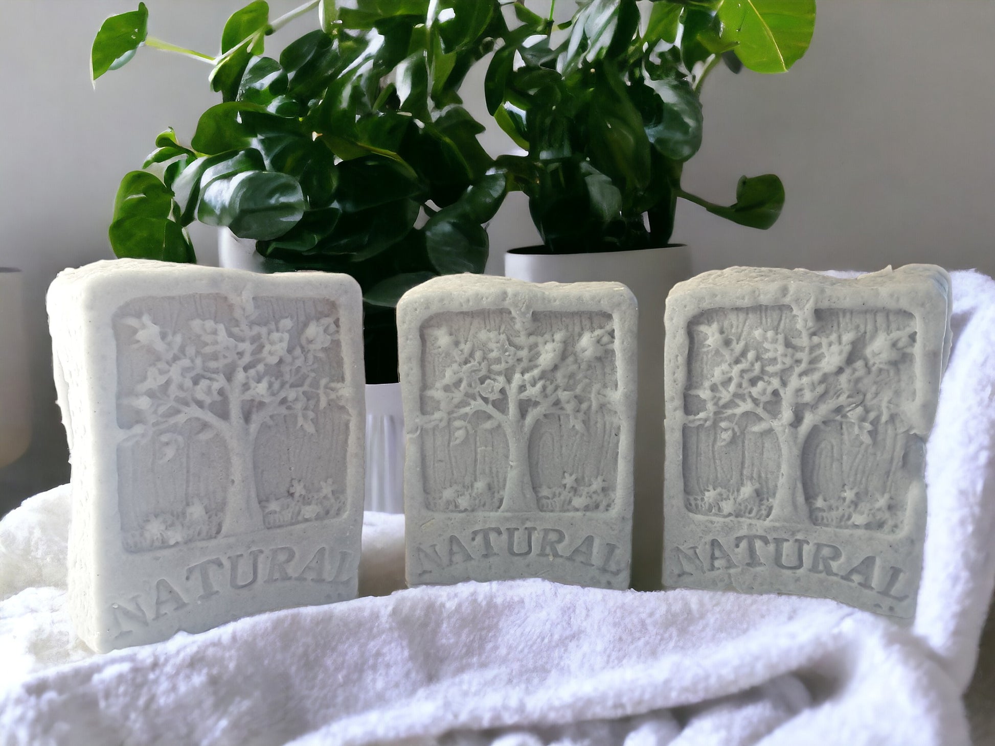 obsidian shampoo bar for men