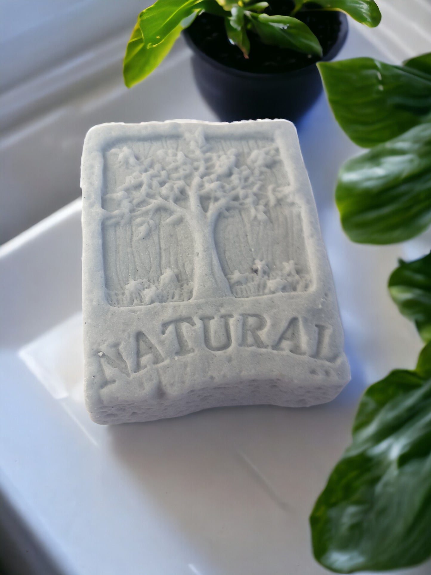 obsidian shampoo bar for men