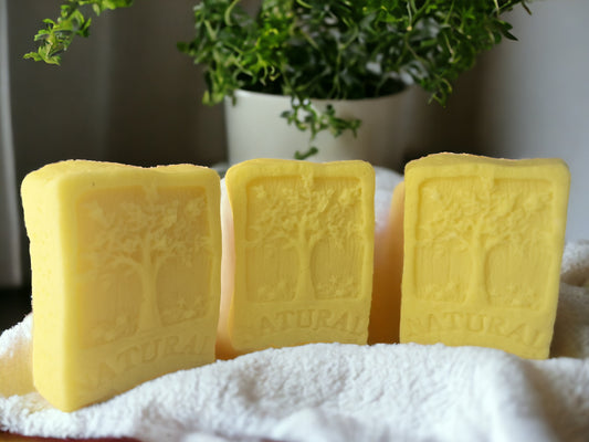 stella beer shampoo bar