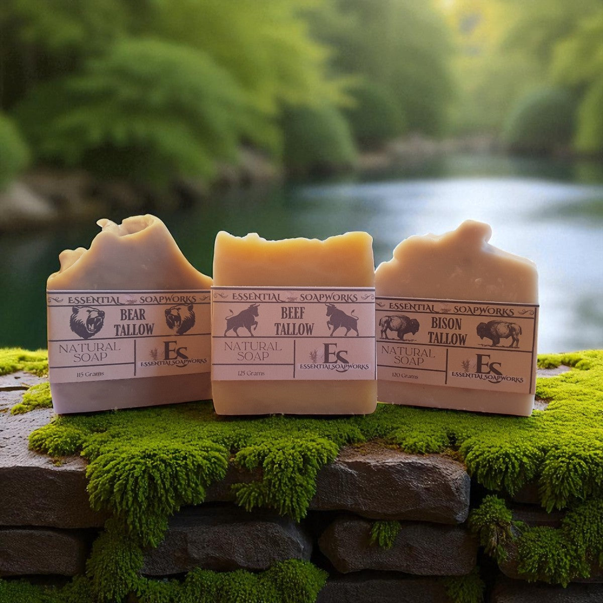 The Carnivore Collection