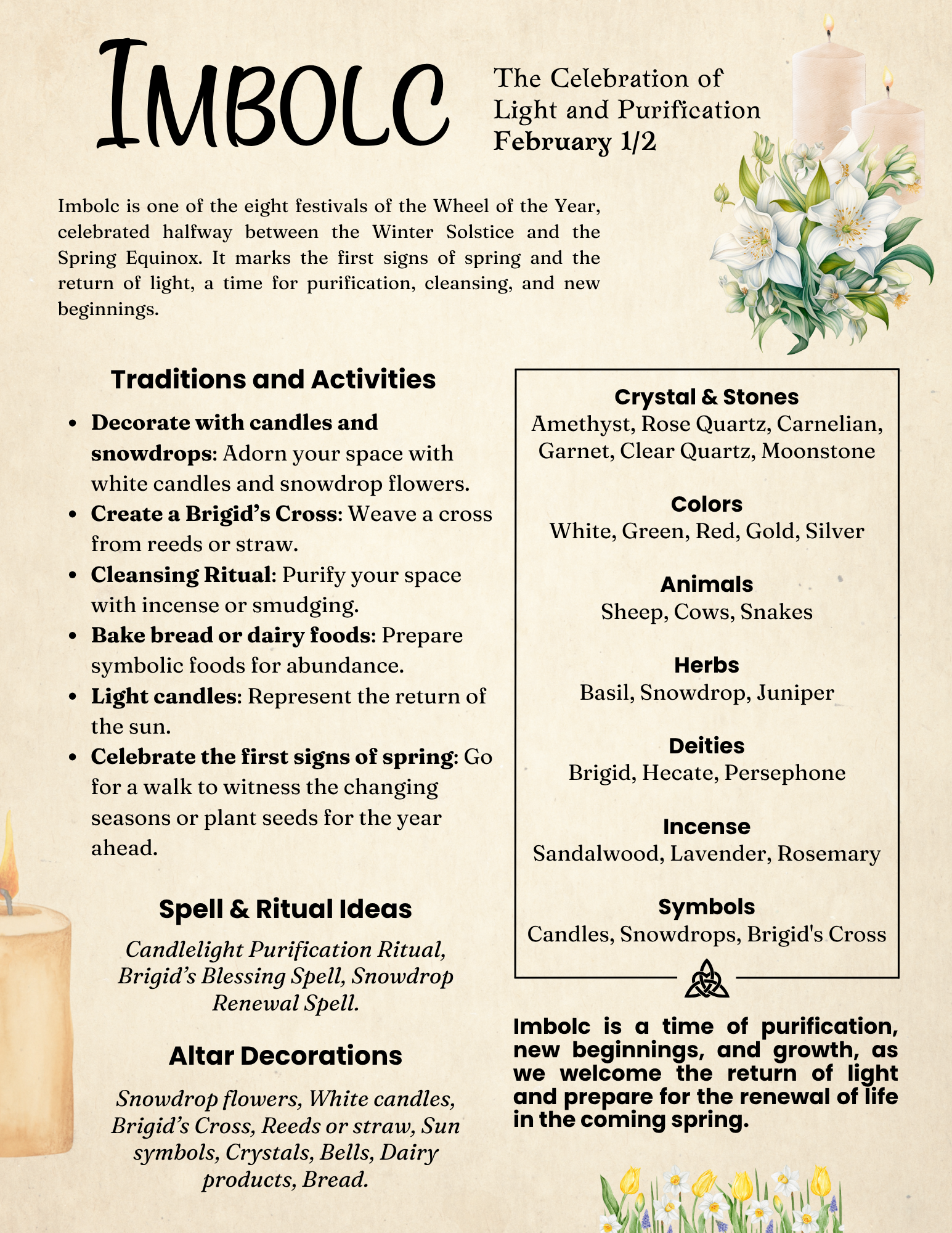 witchy planner 2026