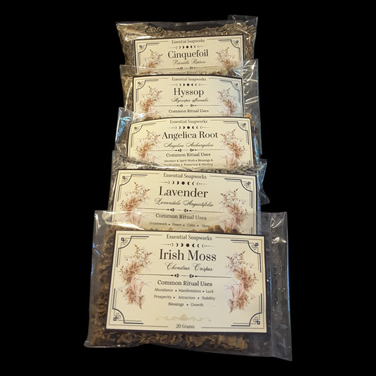 Five clear plastic bags of dried herbs for witchcraft arranged in a vertical stack on a solid black background. The labels show different herbs: Cinquefoil, Hyssop, Angelica Root, Lavender, and Irish Moss.