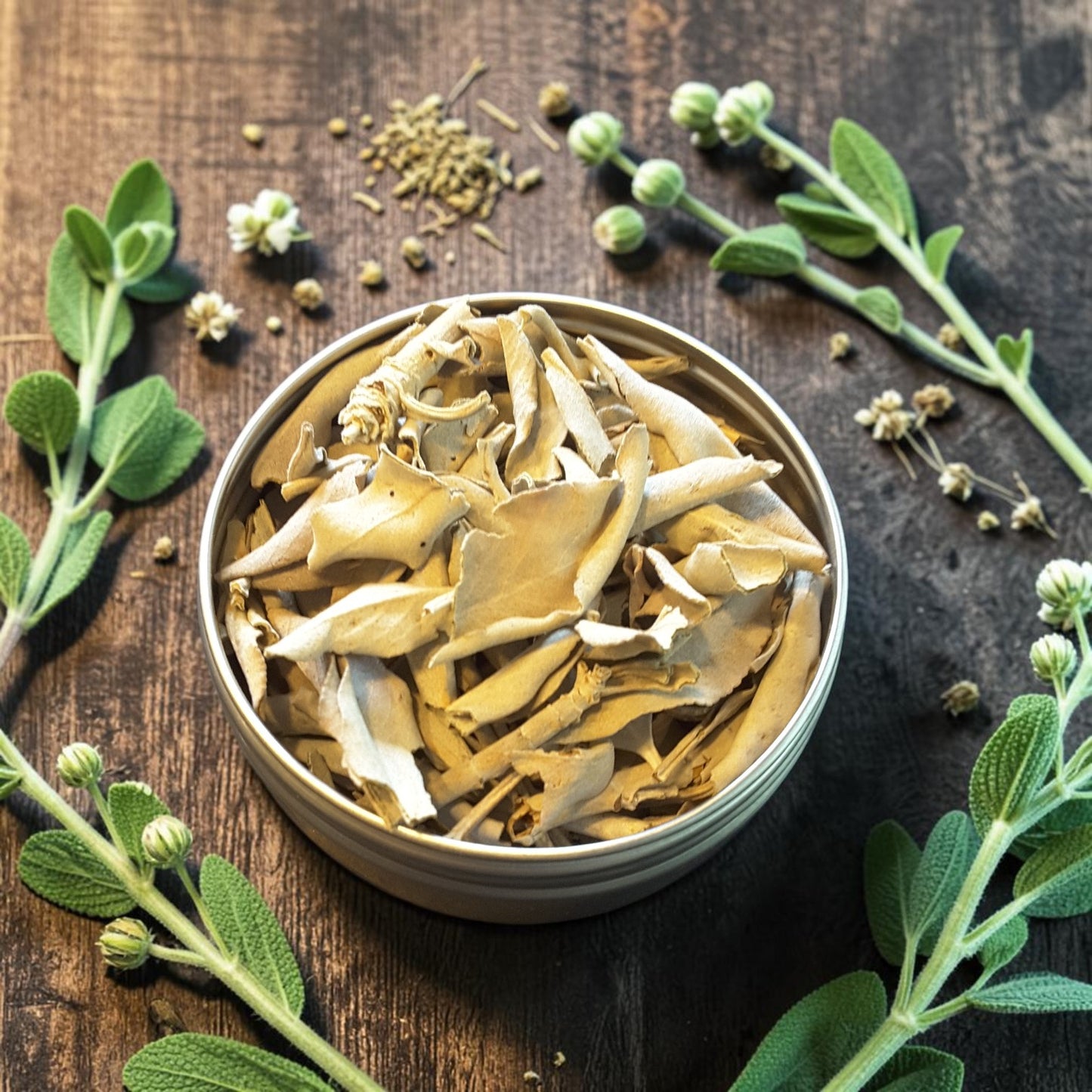 A round metal tin filled with loose white sage arranged on a dark wooden surface with green herb stems and small white buds around it.